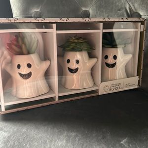 Set of 3 ghost faux plants